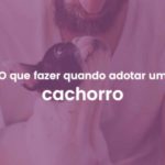 adotar-cachorro-veterinario-domicilio-atende-pet