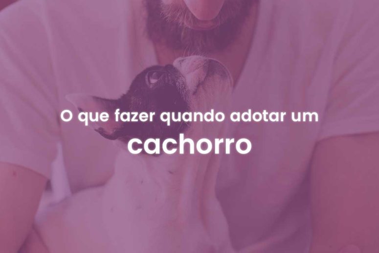 adotar-cachorro-veterinario-domicilio-atende-pet