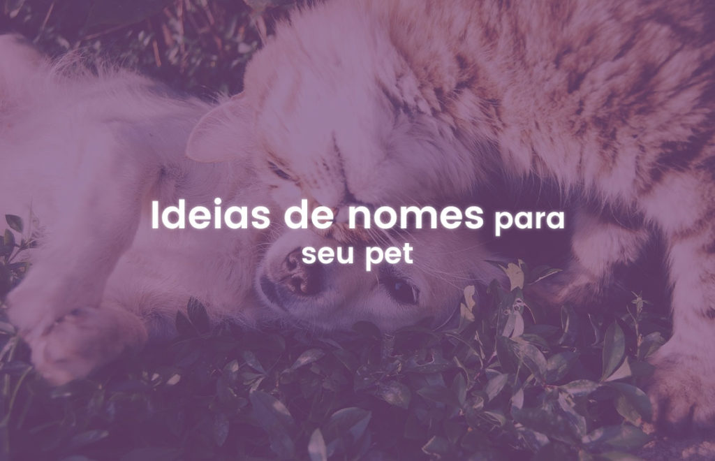 Ideias de nomes para cachorros e gatos