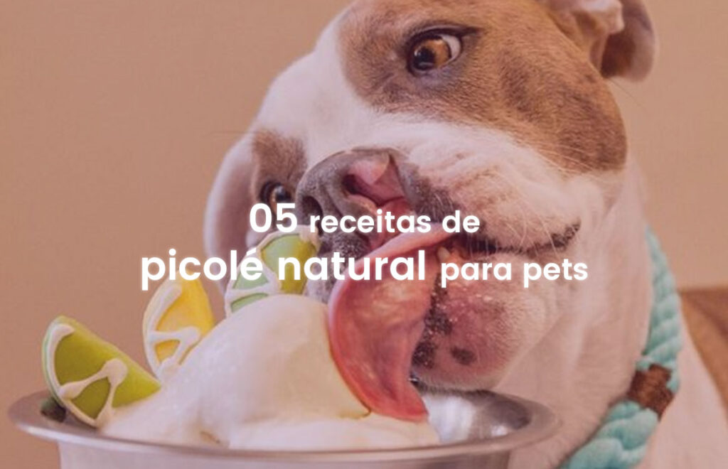 Picolés naturais para seus cães e gatos