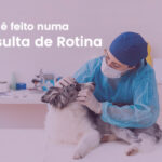 o que é feito na consulta de rotina