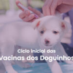 ciclo inicial de vacina em cães
