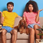Guarda Compartilhada para pets