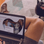 como escolher o veterinário em domicílio