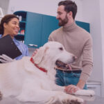 sintomas-veterinario-emergente