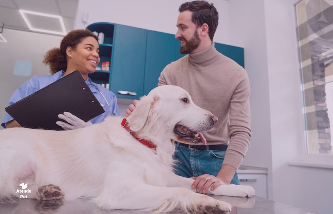 sintomas-veterinario-emergente
