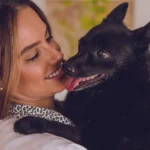 A Rotina do Veterinario em Domicilio Desafios e Recompensas