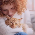 A Febre em Gatos Passa Sozinha