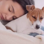 Frequência para Vermifugar cães