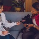 Por Que Optar pelo Serviço de Veterinario em Domicilio