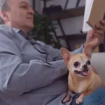 Selecionar-Como-Cuidar-de-um-Filhote-em-Comparacao-a-um-Animal-Idoso