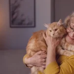 Meu gato teve uma reação alérgica, e agora